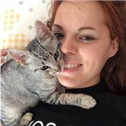 Doy Clases particulares de música y refuerzo de diversas materias hasta Bachillerato